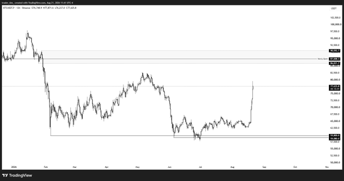A TradingView chart of BTCUSDT showing Bitcoin's price movement from January to November 2024, with a notable price spike visible in August.