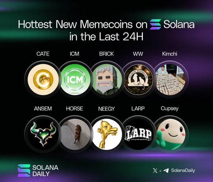 A 'Solana Daily' promotional graphic showcasing the 'Hottest New Memecoins on Solana in the Last 24H' including CATE, ICM, BRICK, WW, Kimchi, ANSEM, HORSE, NEEGY, LARP, and Cupsey.
