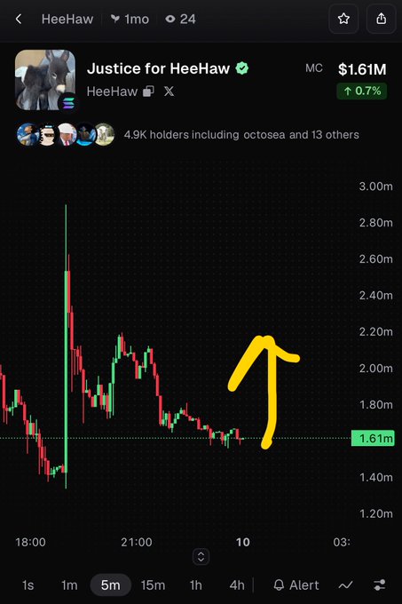 Crypto price chart for 'Justice for HeeHaw' token showing a market cap of $1.61M with a yellow arrow drawn pointing to an upward trend.