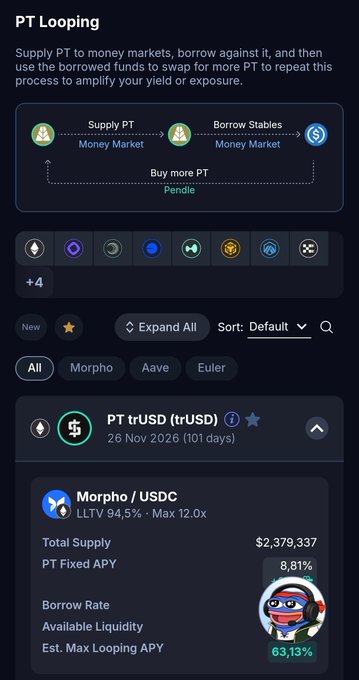 A screenshot of a 'PT Looping' finance interface explaining how to supply PT to money markets, showing a 'PT trUSD (trUSD)' option with a Morpho / USDC listing indicating an estimated max looping APY of 63.13%.