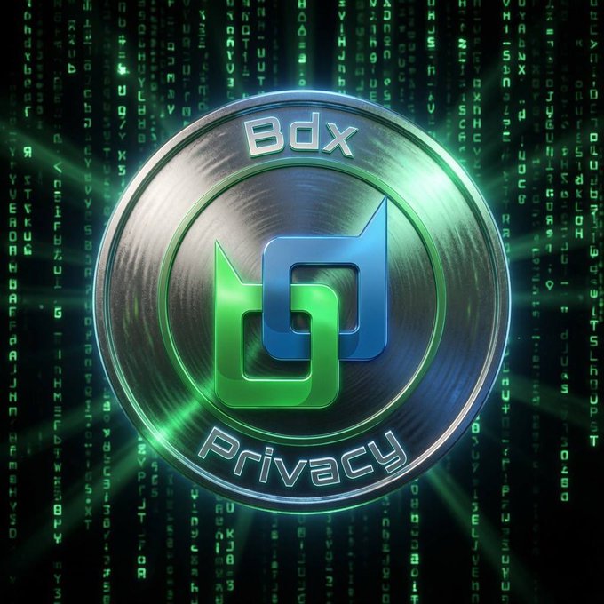 A metallic silver and green coin displaying the "BdX Privacy" logo set against a backdrop of falling green Matrix-style digital code.