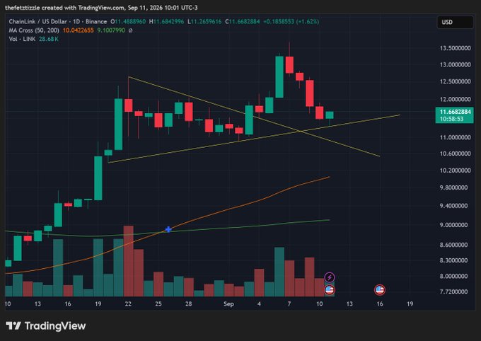 A TradingView candlestick chart for ChainLink/USD on Binance showing a 10.66% gain, with the current price at 11.6682384, displaying trendlines and volume bars.