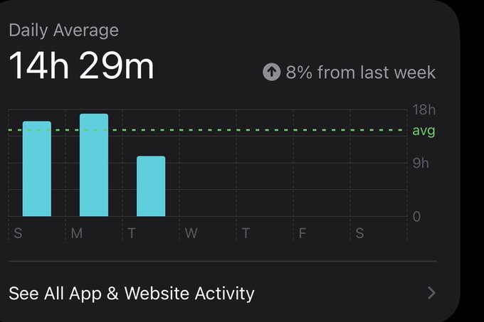 A screen time widget shows a daily average of 14h 29m, an 8% increase from last week, with bar charts displaying usage across the week (with visible bars on Sunday, Monday, and Tuesday). The image humorously reinforces the post's "lifemaxxing" sentiment by highlighting an absurdly high daily screen time that suggests the poster would be better off spending less time on their phone and more time offline.