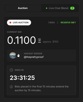 A live auction interface showing a current bid of 0.1100 (approx. $193) by @theprettyproof, with 23:31:25 remaining.