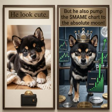 A meme-style split image of a Shiba Inu dog, with the left panel captioned 'He look cute' and the right panel captioned 'But he also pump the $MAME chart to the absolute moon!' showing the dog wearing a crown next to green charts.