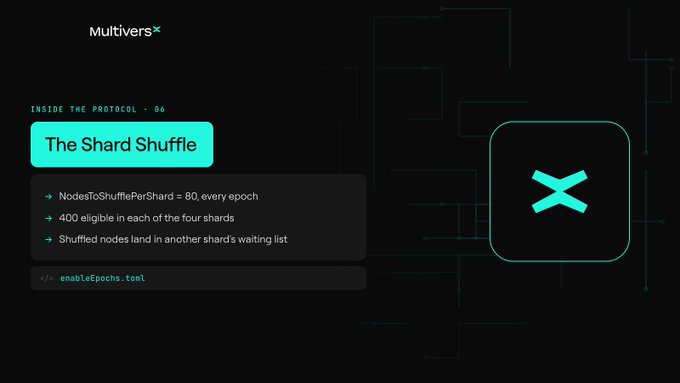 A dark promotional graphic for MultiversX titled 'The Shard Shuffle' listing technical details about NodesToShufflePerShard = 80 every epoch, 400 eligible nodes, and a reference to enableEpochs.toml.