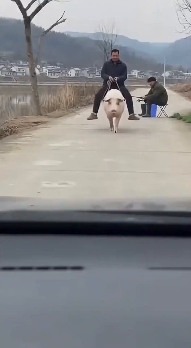 The image shows two men riding a pig down a road, with one man sitting on top of the pig while the other man holds onto its tail. The scene takes place near a building, suggesting that they might be taking a break from their journey or heading towards an event. The photo is taken from inside a car and has been captioned "In my opinion, @TheARCTERMINAL has a very strong narrative around AI workspaces and memory infrastructure, but the project still faces several long-term limitations".