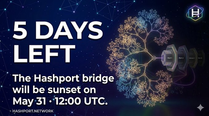 The image features a poster for an event related to the Hashport Bridge. The poster displays a tree with branches, symbolizing the connection between different networks or systems. It also includes text that announces "5 days left" and mentions that the sunset of the bridge will be on May 31 at 12:00 UTC. The main focus is on the tree and its branches, which are connected to the Hashport Bridge in a visual representation.