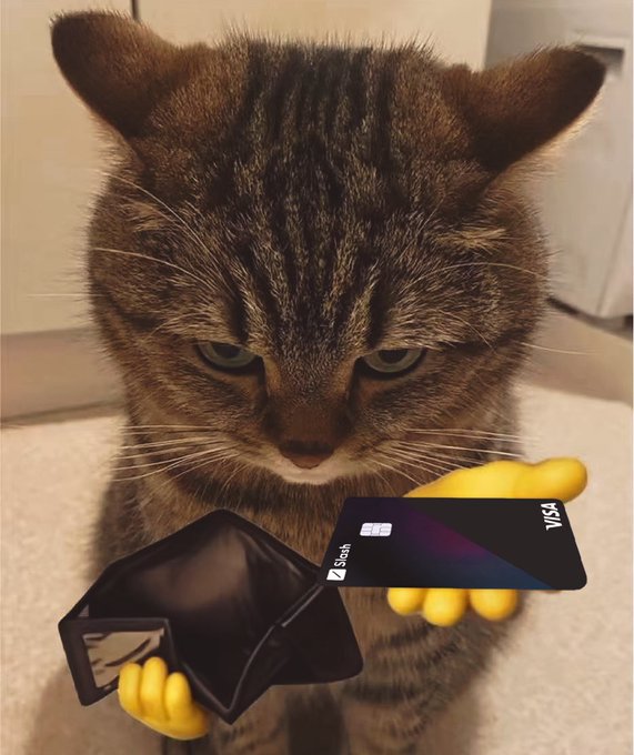 A tabby cat looking directly at the camera while its yellow cartoonish hands hold a black wallet and a black Visa credit card with the word 'Sisix' on it.