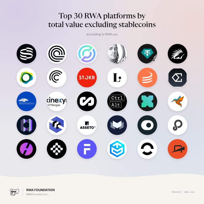 An infographic titled 'Top 30 RWA platforms by total value excluding stablecoins' according to RWA.xyz, displaying a grid of 30 platform logos including Securitize, Ondo, STOKR, WisdmTree, and Kinexy JPMorgan.