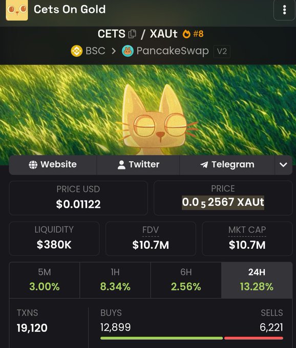 The image shows a cryptocurrency tracker for "Cets On Gold" (ticker CETS/XAUT) on PancakeSwap V2, displaying a price of $0.01122, liquidity of $380K, market cap of $10.7M, and a 24-hour gain of 13.28%, along with transaction data showing 12,899 buys versus 6,221 sells. The post highlights this buy-to-sell ratio of roughly 2:1, framing it as evidence of healthy token distribution where smaller holders are continually replacing larger ones to build a strong community foundation.