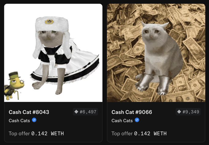 An NFT marketplace listing showing two 'Cash Cats' digital collectibles - Cash Cat #8043 in a black and white maid dress with #6,497, and Cash Cat #9066 wearing silver boots on cash with #9,349, both with top offer 0.142 WETH.