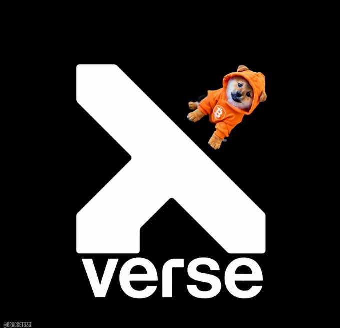The image features a Shiba Inu puppy wearing an orange hoodie, posed above the "Xverse" logo with a large stylized "X" and the word "verse" below it. The "@BRACKET333" watermark appears in the corner, tying together the Xverse branding with the $DOG mascot to reinforce the post's message about the platform's free and fair, community-driven ethos.