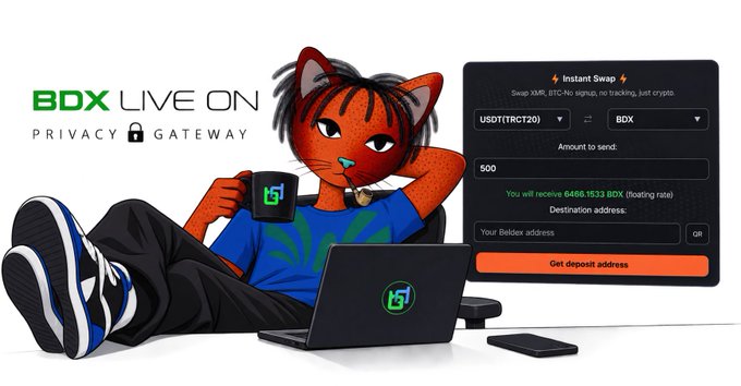 An advertisement for 'BDX LIVE ON PRIVACY GATEWAY' featuring an orange cat-like character holding a mug and using a laptop with a 'b' logo, next to an 'Instant Swap' interface for USDT(TRC20) to BDX.