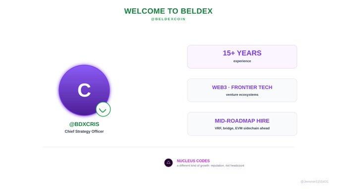 A welcome graphic for Beldex (BDX) introduces @BDXCRIS as the new Chief Strategy Officer, highlighting their "15+ YEARS experience" in "WEB3 + FRONTIER TECH" and "venture ecosystems," alongside a note that Beldex is making a "MID-ROADMAP HIRE" as VRF, bridge, EVM sidechain work is underway—visually reinforcing the tweet's announcement about bringing on seasoned leadership during an active development phase.