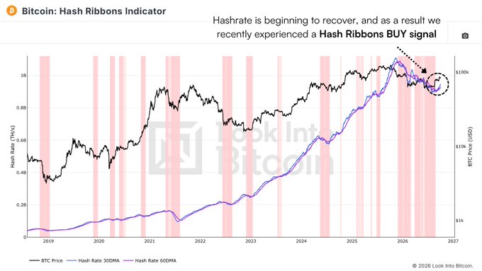 A Look Into Bitcoin chart titled 'Bitcoin: Hash Ribbons Indicator' showing BTC Price, Hash Rate 30DMA, and Hash Rate 60DMA from 2019 to 2027, noting 'Hashrate is beginning to recover, and as a result we recently experienced a Hash Ribbons BUY signal.'