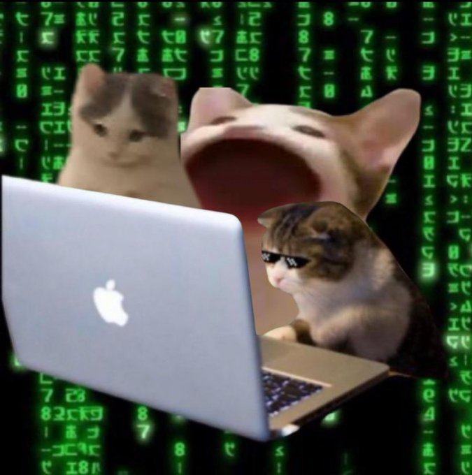 The image features three cats sitting around a laptop computer, with one cat's mouth open as if it were yawning or making a funny face. The background of the image has green codes that are not clearly visible but seem to be related to the content displayed on the laptop screen. The caption for this image reads: "Cat season is $coded".