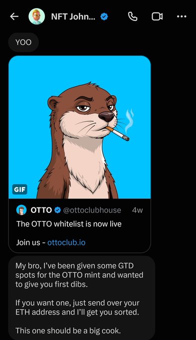 A Twitter/X direct message screenshot from 'NFT John...' containing an OTTO otter NFT GIF announcing 'The OTTO whitelist is now live' at ottoclub.io, with a message offering GTD mint spots.