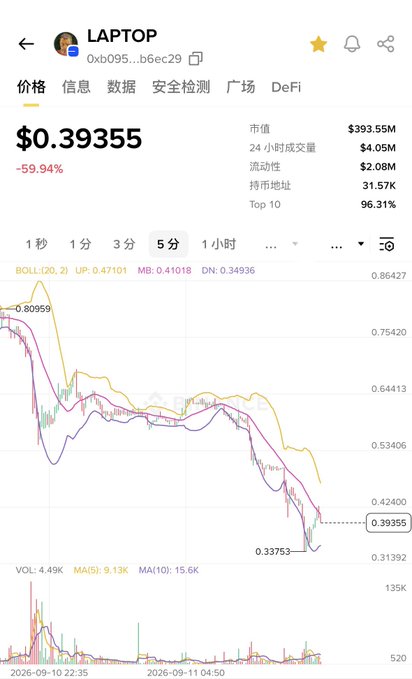 A cryptocurrency price chart for a token named 'LAPTOP' (0xb095...b6ec29) priced at $0.39355, down -59.94%, with a market cap of $393.55M and a 5-minute candlestick chart showing a downward trend.