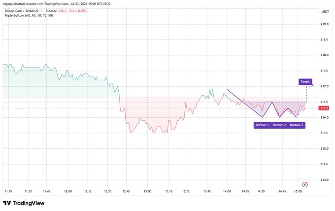 A TradingView chart showing Bitcoin Cash/USDT on Binance, displaying a 'Triple Bottom' pattern with marked 'Bottom 1', 'Bottom 2', 'Bottom 3', and a 'Target' line near $216.3.