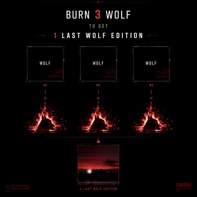 A promotional graphic titled 'BURN 3 WOLF TO GET 1 LAST WOLF EDITION' showing three 'WOLF' boxes above flames that combine into '1 LAST WOLF EDITION' at the bottom.