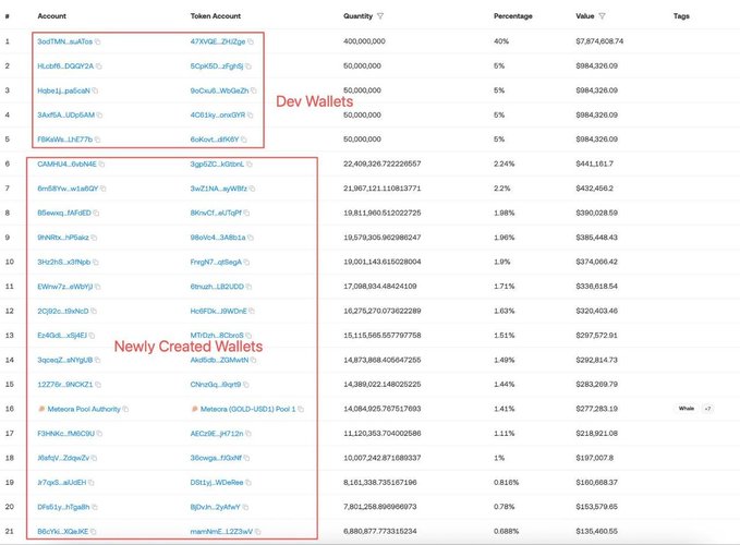 Token holdings table divided into 'Dev Wallets' (top 5 entries holding the majority percentage) and 'Newly Created Wallets' (entries 6-21), displaying account addresses, token accounts, quantities, and values.