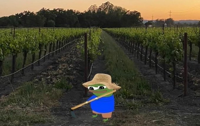 A cartoon frog wearing a straw hat and a blue shirt, holding a hoe, is superimposed over a photograph of a vineyard at sunset.