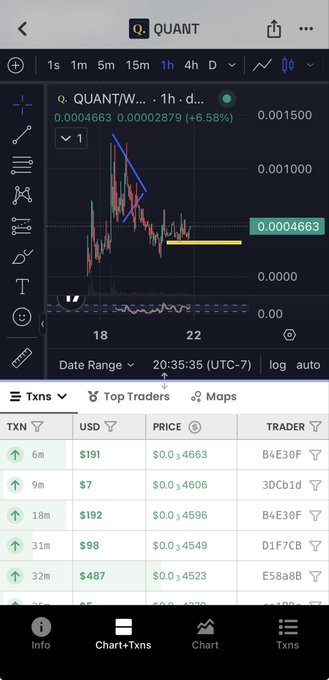 A TradingView-style chart shows QUANT/USD on a 1-hour timeframe with a recent bounce off ~$0.00045 (+6.58%), supporting the poster's claim that they're "bidding down here" on the $QUANT token expecting upside. The bottom transaction panel displays recent buy orders (up to $487) from addresses like B4E30f and E58a88, reinforcing the bullish accumulation narrative tied to the "stock token" rewards theme.