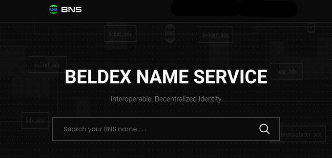 A landing page header for the 'BELDEX NAME SERVICE' (BNS), described as 'Interoperable, Decentralized Identity,' with a search bar for finding BNS names.