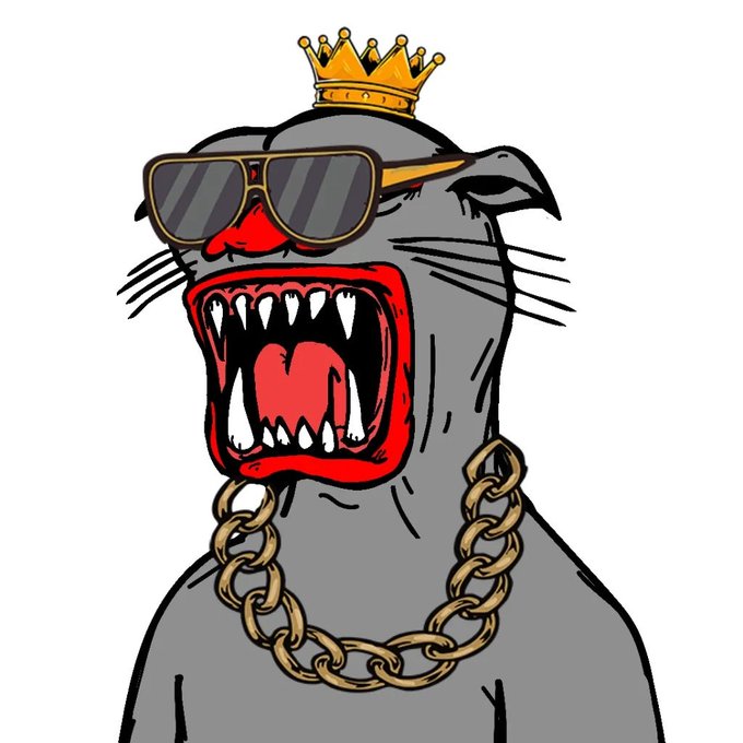 A cartoon illustration of a snarling seal wearing gold sunglasses, a gold crown, and a thick gold chain necklace.