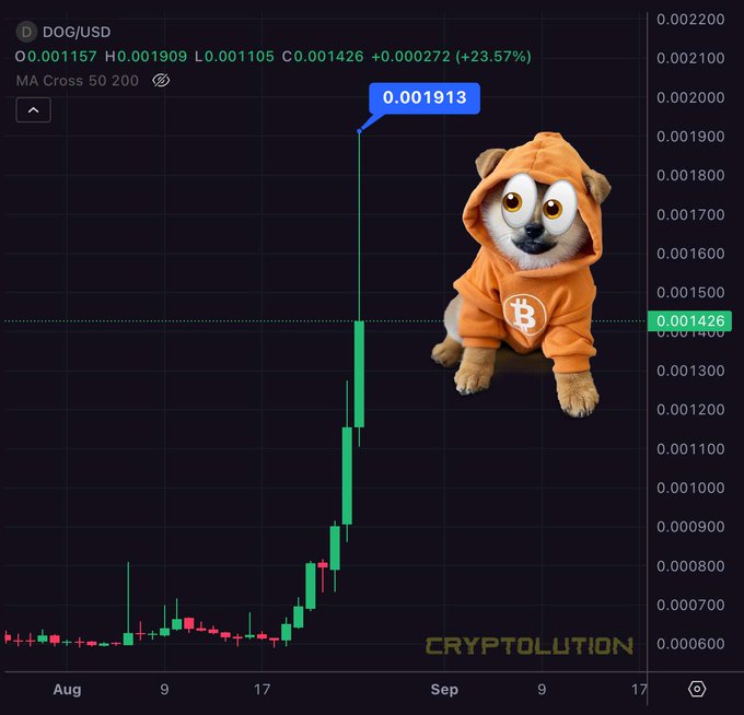 A DOG/USD cryptocurrency chart showing a 23.57% gain with a price of 0.001426, featuring a meme image of a dog in an orange Bitcoin hoodie labeled 'CRYPTOLUTION'.