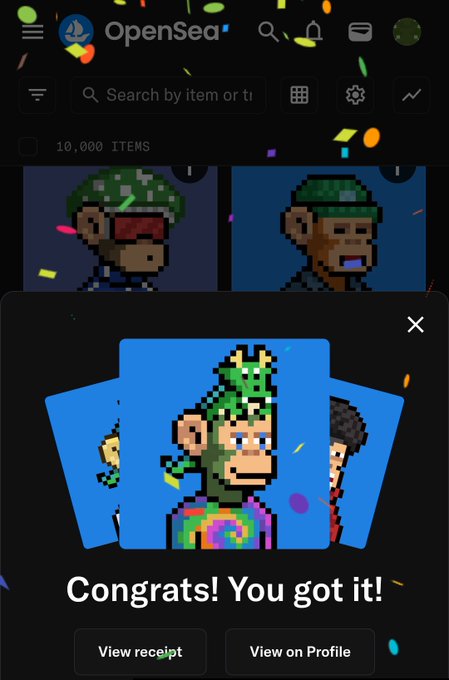 An OpenSea app screenshot showing a successful NFT purchase with confetti animation, displaying a pixel art character and the message "Congrats! You got it!" along with "View receipt" and "View on Profile" buttons.