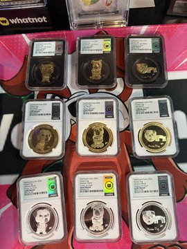 A collection of nine graded and encapsulated commemorative coins featuring dog designs, with various certification labels visible on the slabs.