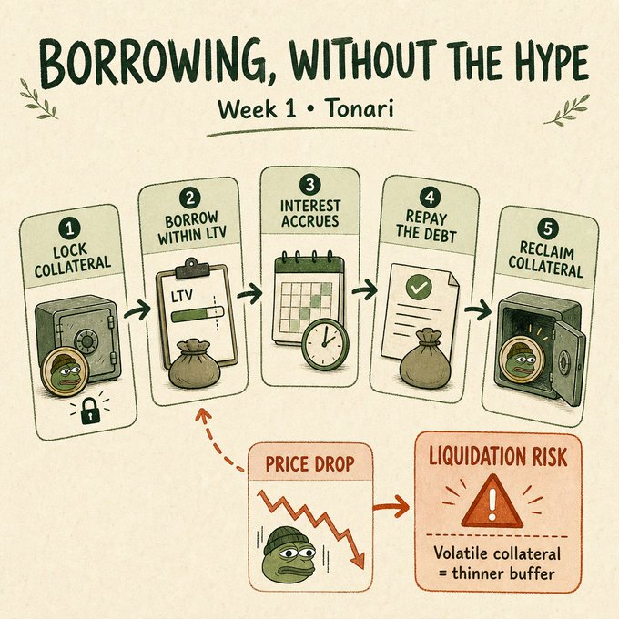An infographic titled 'BORROWING, WITHOUT THE HYPE: Week 1 • Tonari' illustrates a 5-step collateral borrowing process, warning of price drops and liquidation risk.