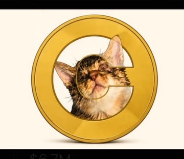 A digital gold coin featuring a photograph of a smiling tabby kitten inside its circular cutout, with "$6.7M" displayed at the bottom of the screen.