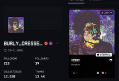 A dark-themed profile page for 'BURLY_DRESSE_' showing 211 following, 39 followers, 12,838 collectors, and 13.4K items, alongside a portrait illustration with a colorful halo.