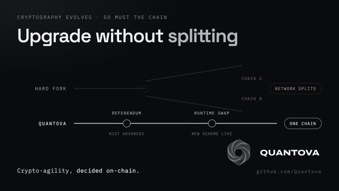 An infographic titled "Upgrade without splitting" comparing a hard fork (which splits the network) to the Quantova process, which uses a referendum and runtime swap to upgrade the NIST scheme while keeping one chain.