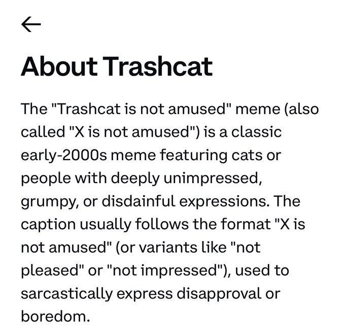 A text snippet titled 'About Trashcat' describing the 'Trashcat is not amused' meme as a classic early-2000s meme featuring grumpy or disdainful expressions.