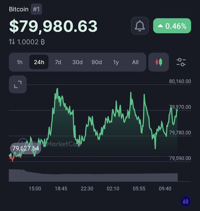 A cryptocurrency chart showing Bitcoin (#1) at $79,980.63 with a 0.46% increase over 24h, displaying price movements between $79,590.00 and $80,160.00.
