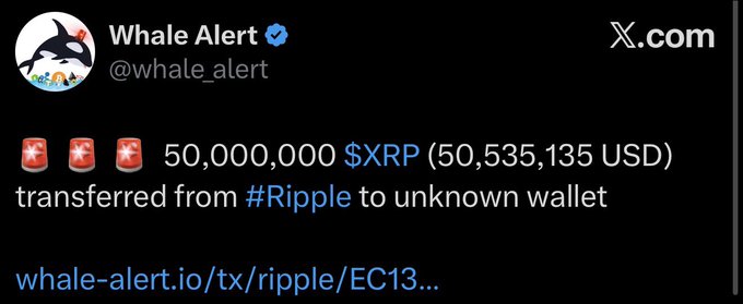 A screenshot of a tweet from @whale_alert reporting that 50,000,000 $XRP ($50,535,135 USD) was transferred from #Ripple to an unknown wallet, illustrating the post's discussion of the massive $50.5 million XRP transfer.