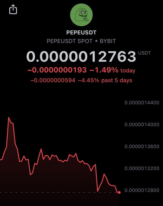 A cryptocurrency chart showing the PEPEUSDT token on the PEPEUSDT SPOT market via BYBIT, priced at 0.0000012763 USDT with a decline of -1.49% today and -4.45% over the past 5 days.