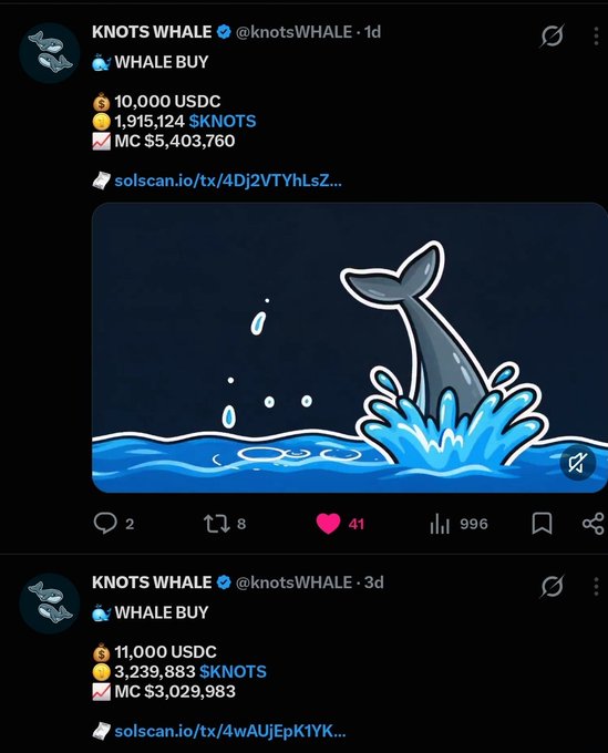 A social media post from 'KNOTS WHALE' displays a whale illustration and cryptocurrency 'WHALE BUY' transactions involving USDC and SKNOTS tokens.