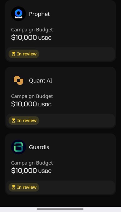 The image shows a phone screen displaying three different projects, each with its own logo and description. The projects are named "Campaign Budget", "Campaign Budget USDC", and "Campaign Budget Quant AI". Each project has a corresponding budget allocation of $10,000 USDC. The screen also displays a review rating for the projects, which is currently in the "Review" category.