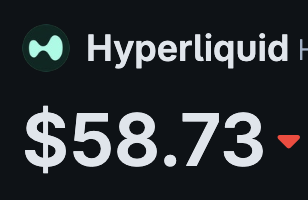 A price display showing the Hyperliquid token (HYPE) at $58.73 with a red downward arrow indicating a price decrease.