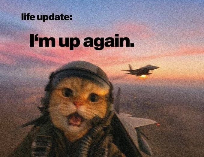 A meme image of a cat dressed as a fighter pilot with a jet in the background, featuring text that reads "life update: I'm up again."