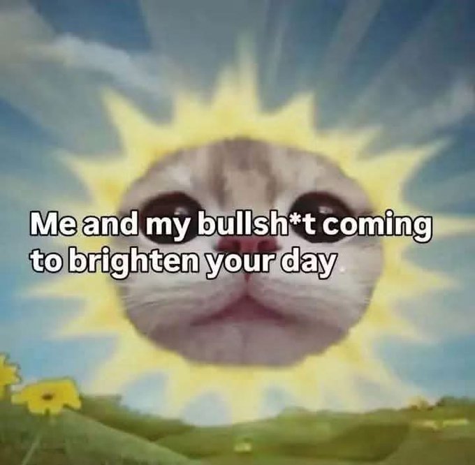 A meme featuring a cat's face superimposed on a sun with a bright sky background, overlaid with the text 'Me and my bullsh*t coming to brighten your day'.