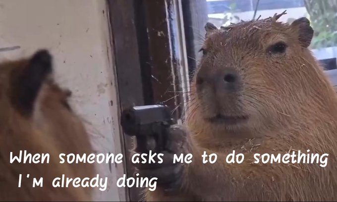 A meme featuring a capybara holding a small gun pointed at its reflection in a mirror, with caption text: 'When someone asks me to do something I'm already doing'.