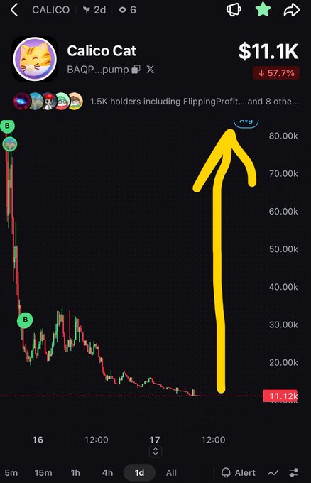 The image shows a trading chart for "Calico Cat" (CAQP...pump) with a market cap of $11.1K, down 57.7%, featuring a hand-drawn yellow arrow pointing upward to suggest expected price growth from 11.12k to 80.00k. This visually reinforces the post's bullish claim that sellers have been wiped out and the token is poised for a 15-20x rally.