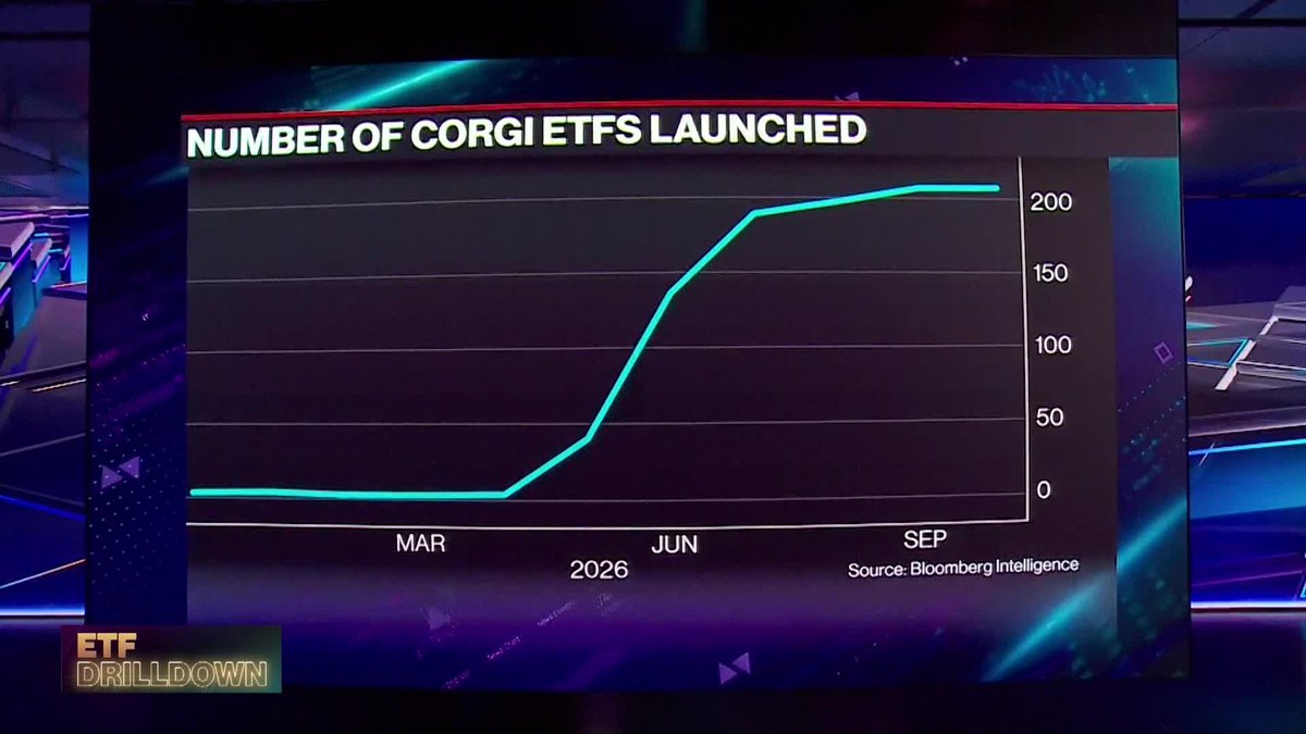 A line chart titled "NUMBER OF CORGI ETFS LAUNCHED" from Bloomberg Intelligence shows a steep climb from near zero in March 2026 to over 200 by September 2026, visually illustrating Corgi's aggressive "spaghetti cannon" approach to rolling out ETFs.
