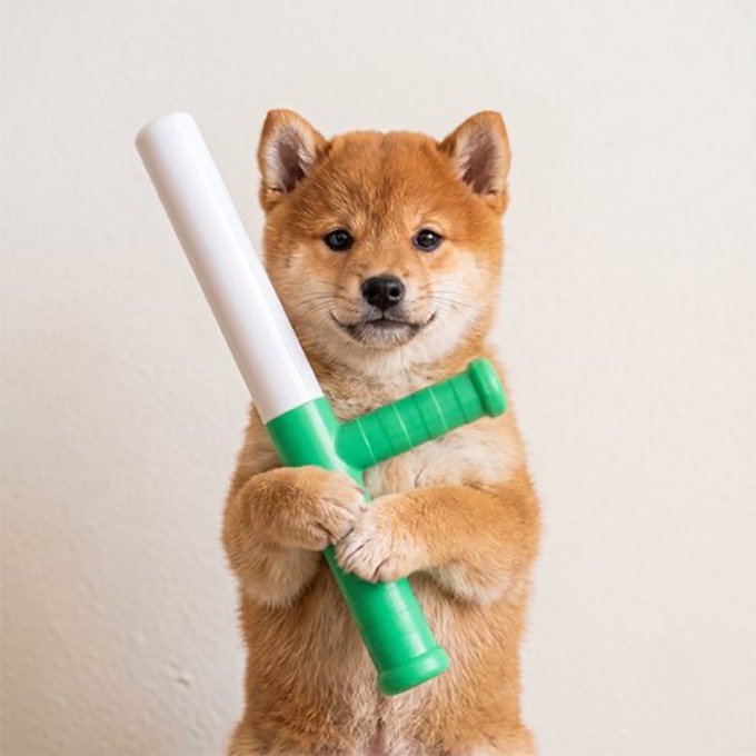 An adorable Shiba Inu dog stands on its hind legs against a plain white background, holding a green and white toy sword with both paws across its chest. The fluffy orange-tan dog has a slight smile, giving it a charming, almost heroic appearance.